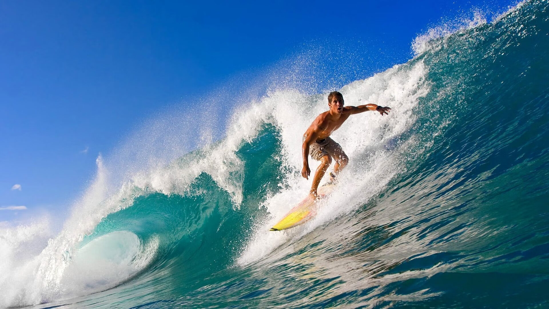 九游体育登陆-女子排球：世界锦标中国队夺魁，继续创造奇迹！，女子排球世锦赛